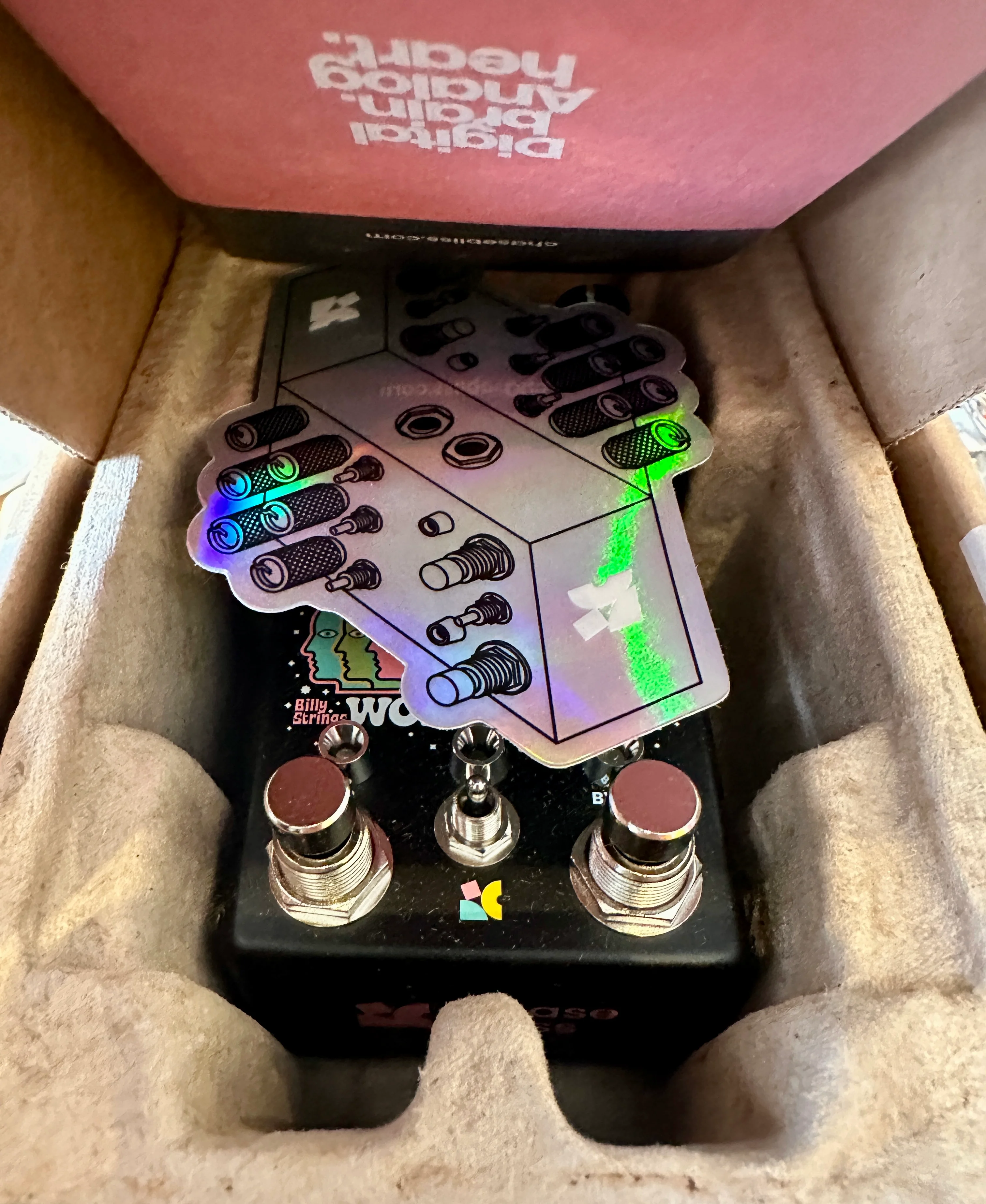 Chase Bliss Audio Billy Strings Wombtone Phaser - Image 5