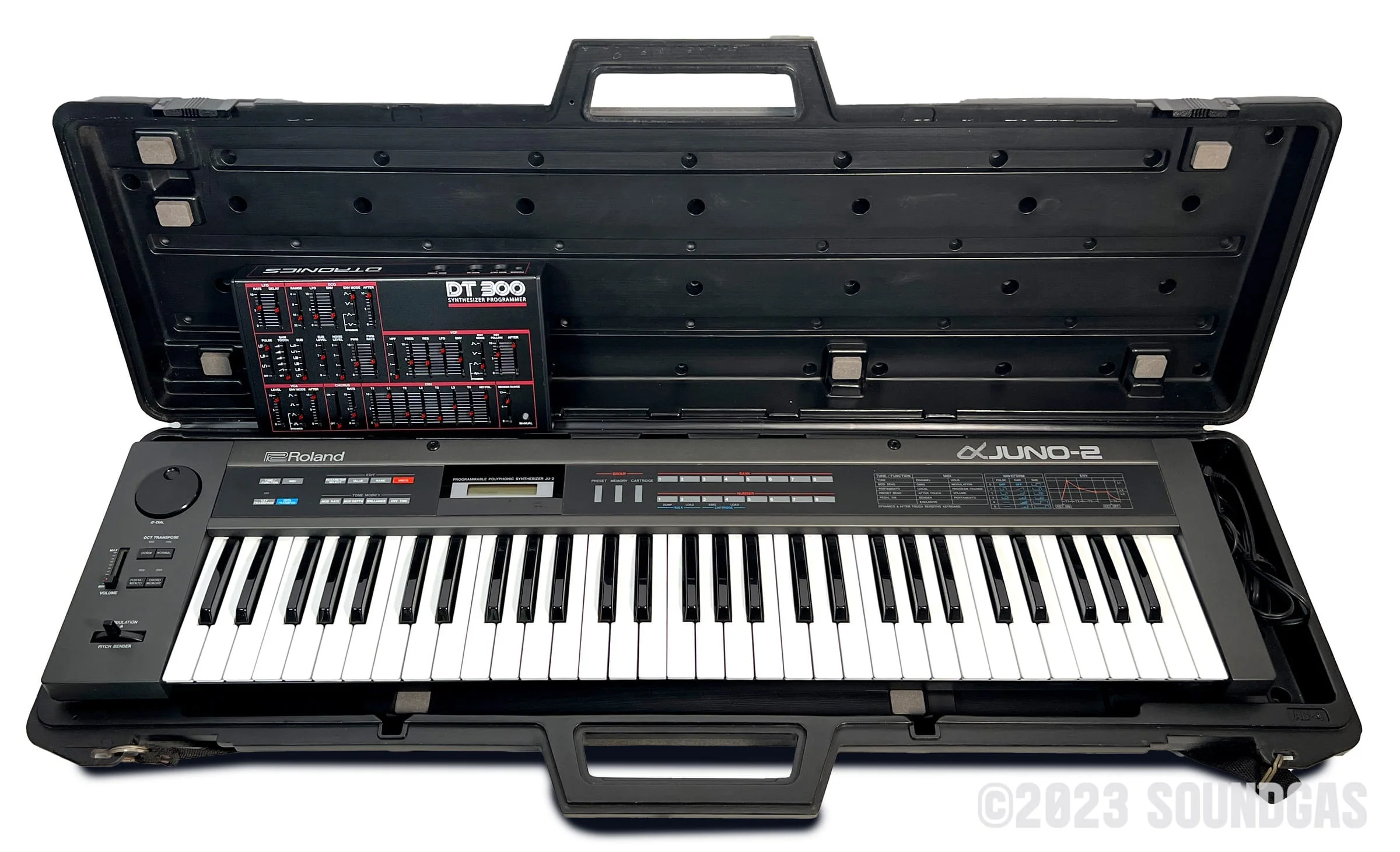 Roland Alpha Juno 2 & DTronics DT-300 - Image 13