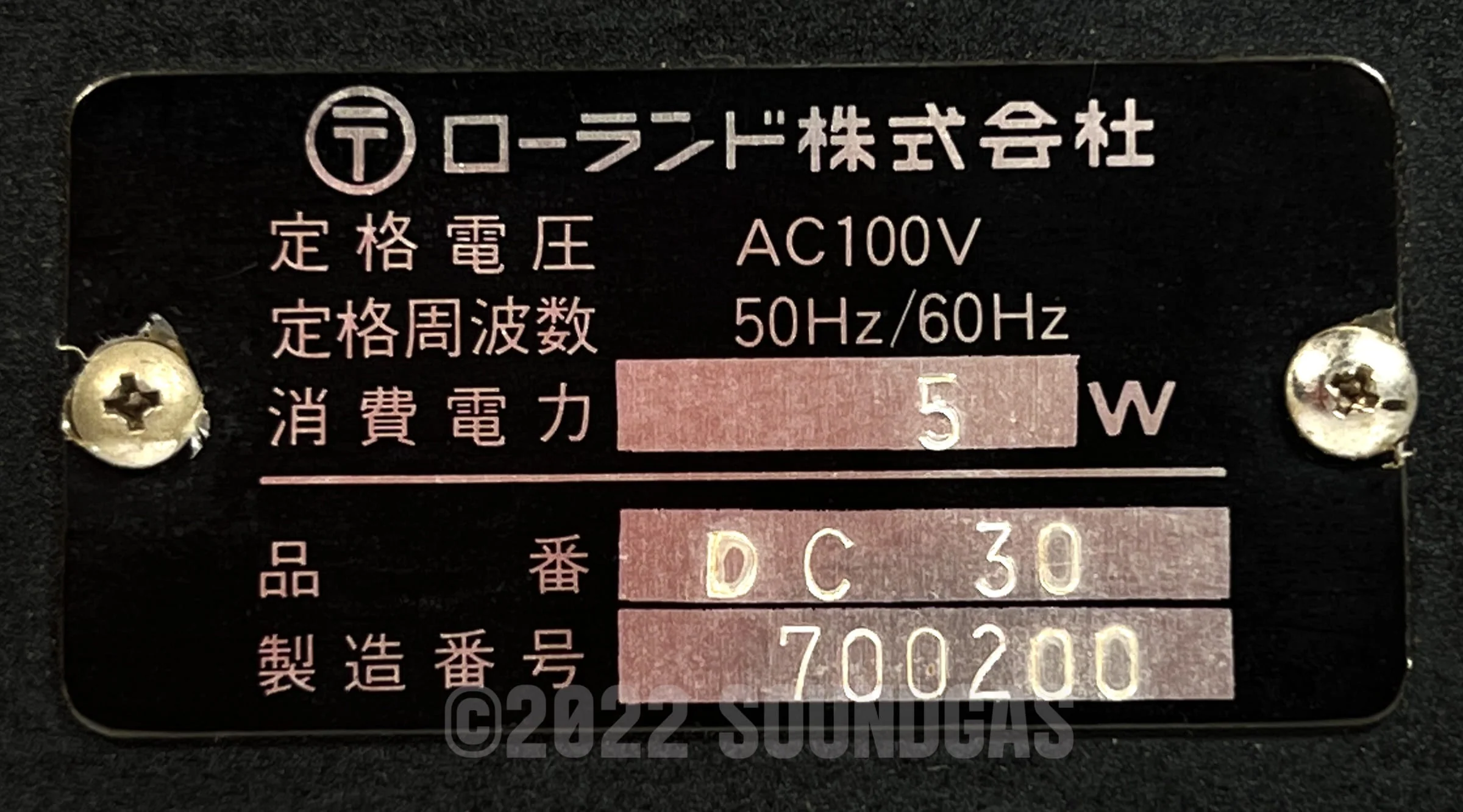 Roland DC-30 Chorus Echo (Boss DM-300) - Image 6