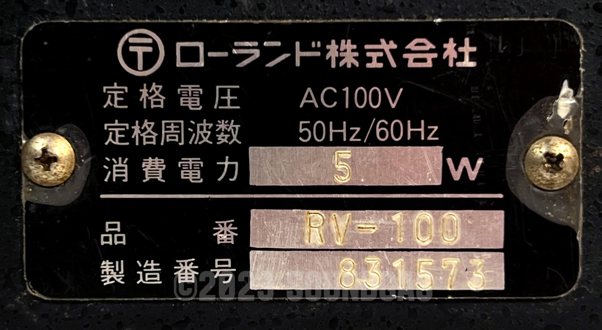 Roland RV-100 Reverb ADD - Image 6