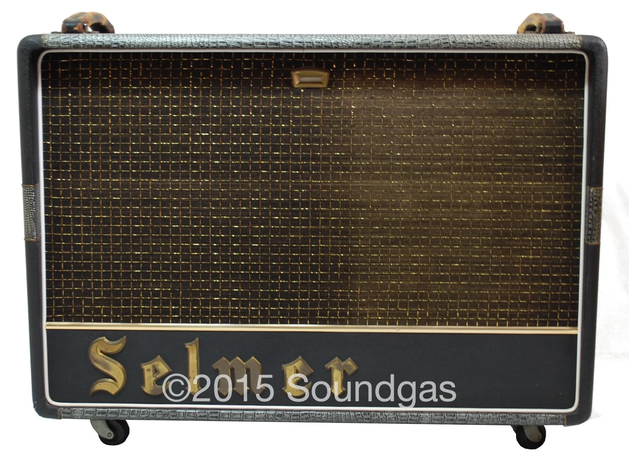 Selmer Truvoice Zodiac Twin 50 - Image 3