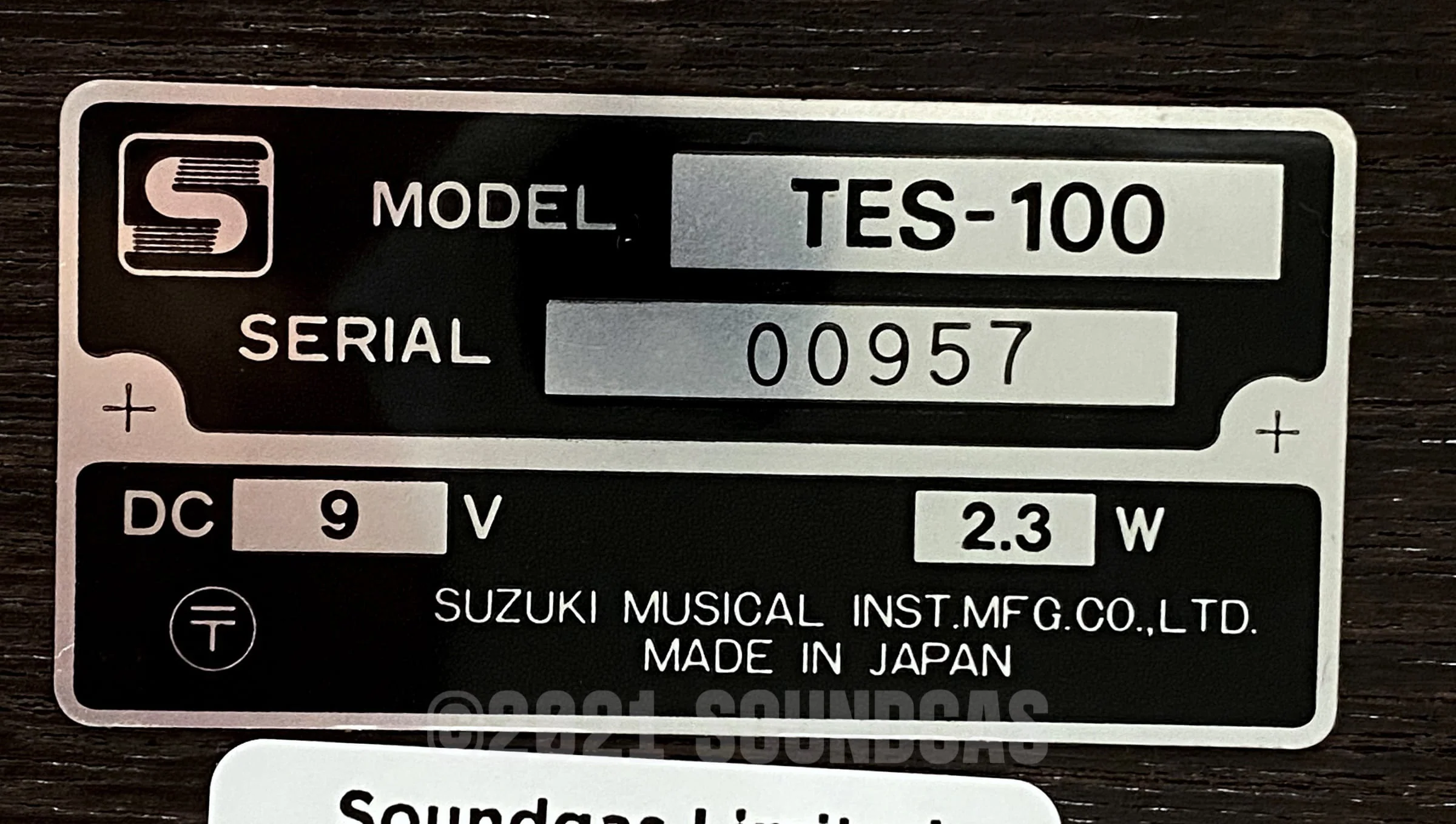 Suzuki TES-100 Taishogoto - Image 10