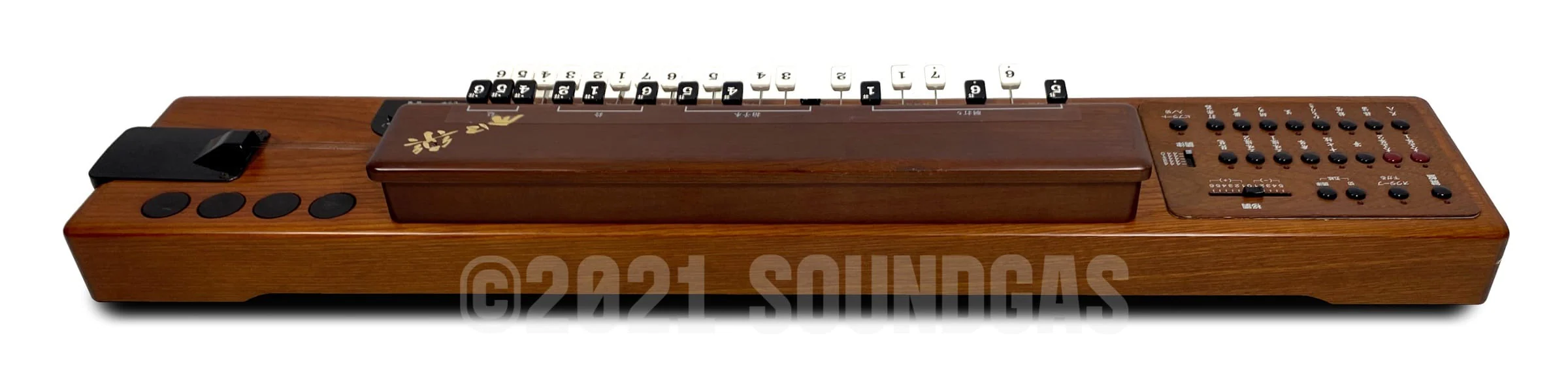 Suzuki TES-100 Waraku Koto Synth - Image 10