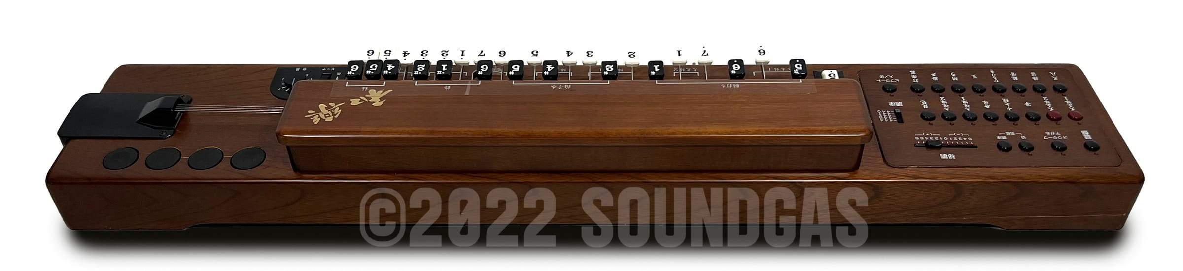 Suzuki TES-100 Waraku Koto Synth - Image 10