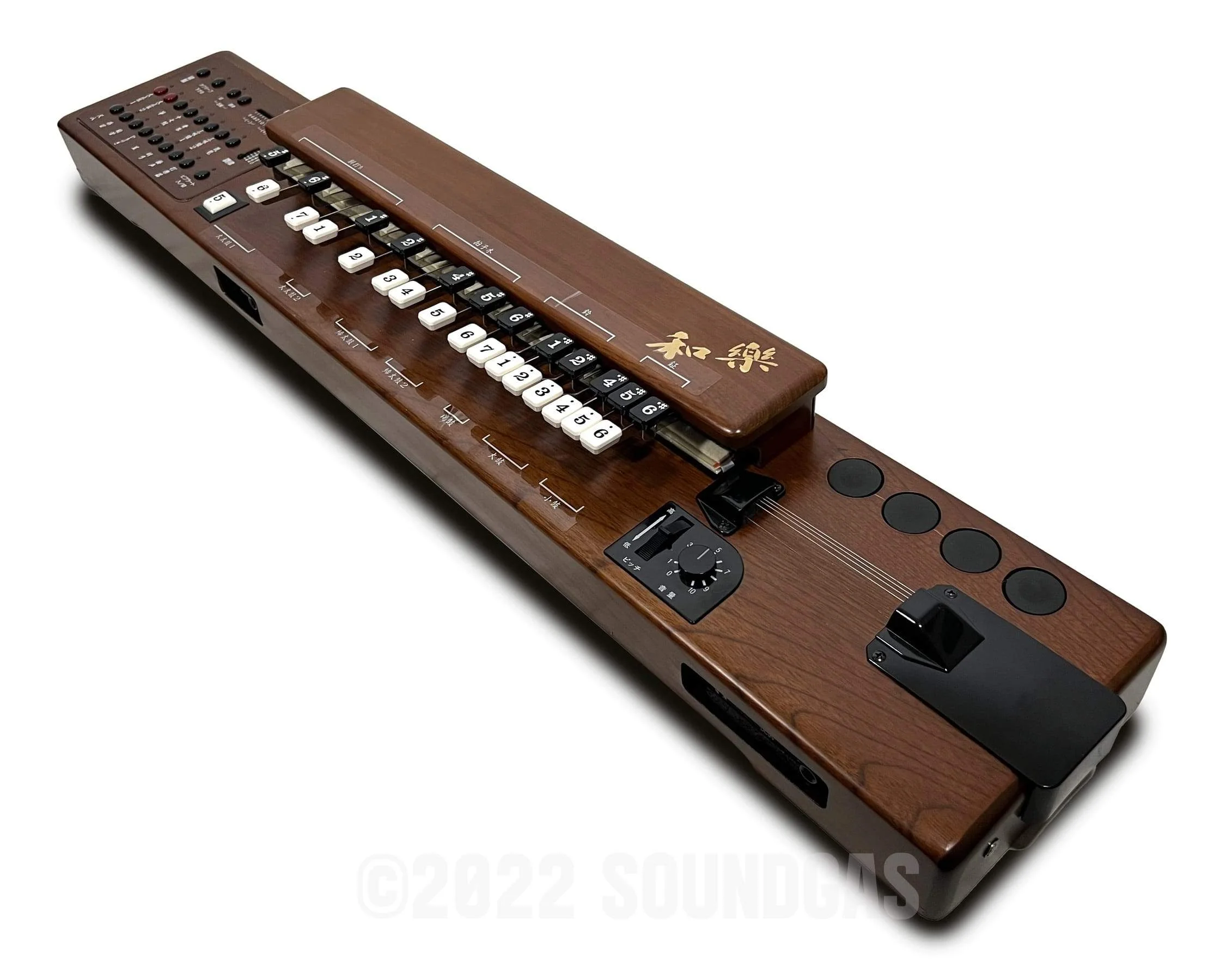 Suzuki TES-100 Waraku Koto Synth - Image 4