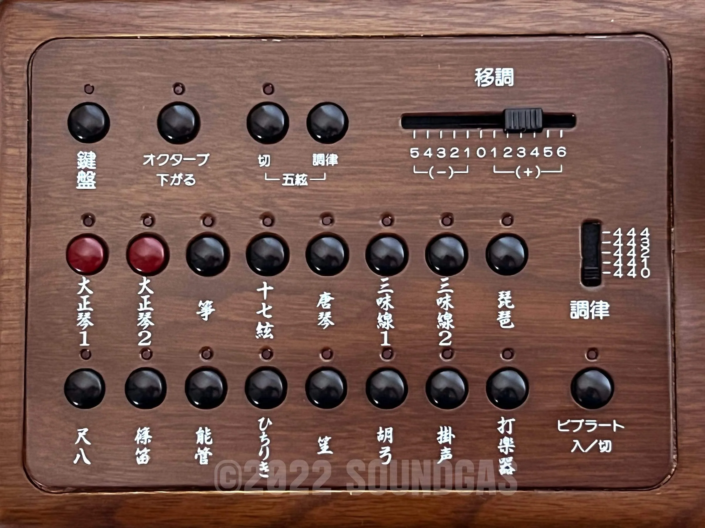 Suzuki TES-100 Waraku Koto Synth - Image 6