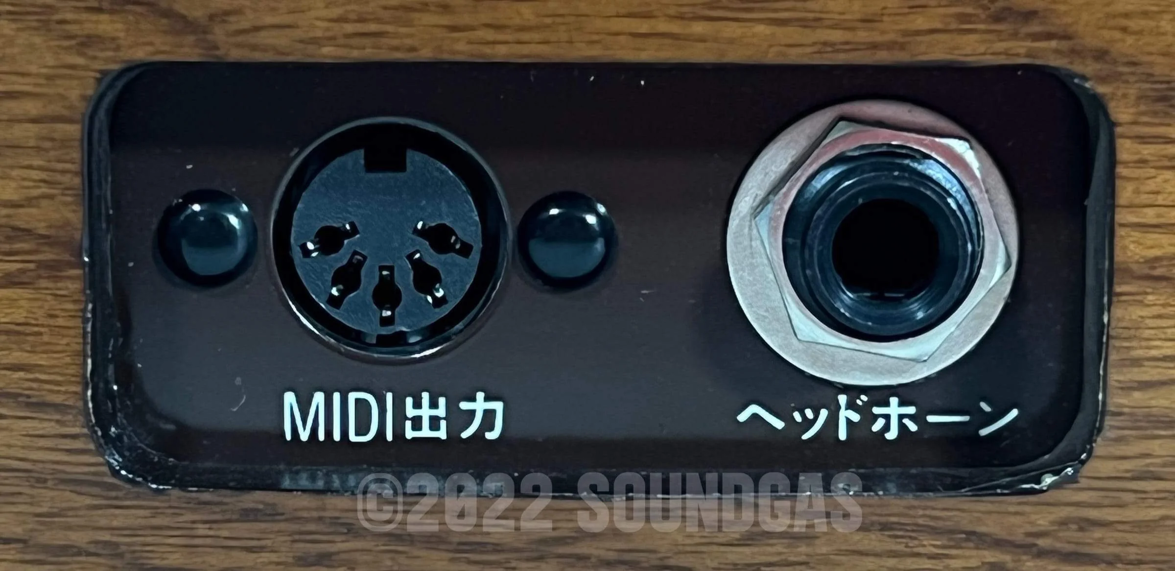 Suzuki TES-100 Waraku Koto Synth - Image 9
