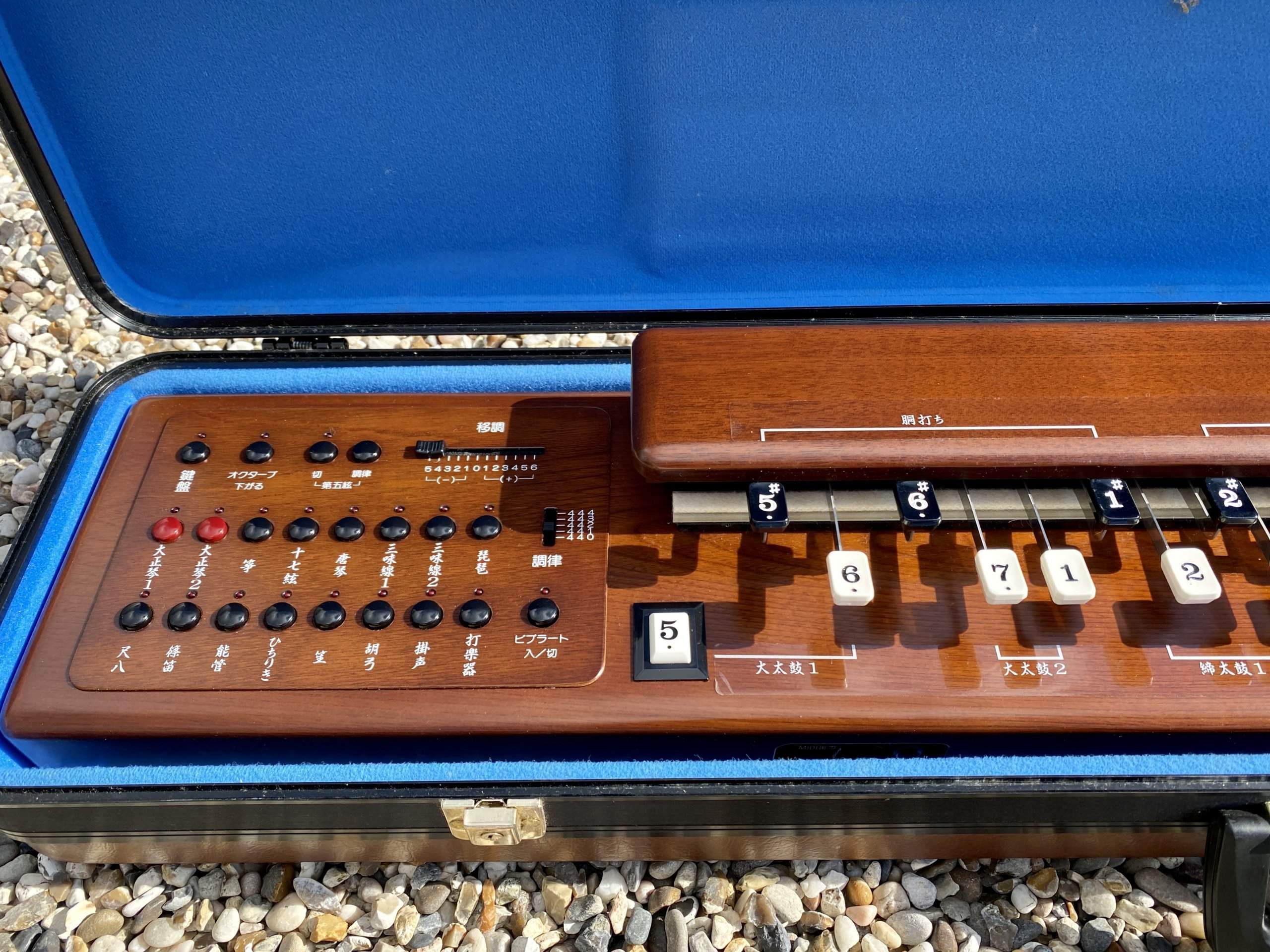 Suzuki TES-100 Waraku Koto Synth - Image 3