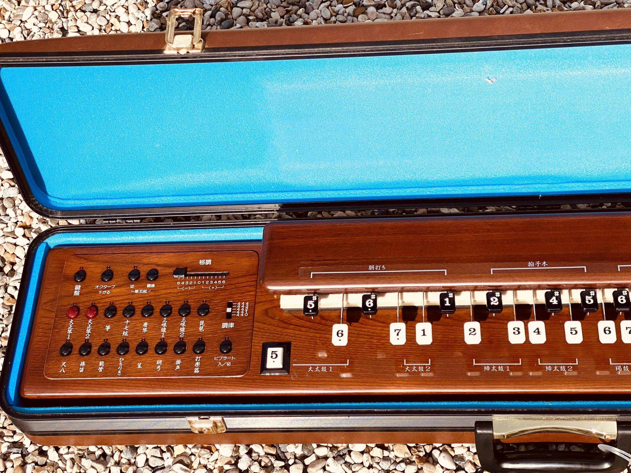 Suzuki TES-100 Waraku Koto Synth - Image 4