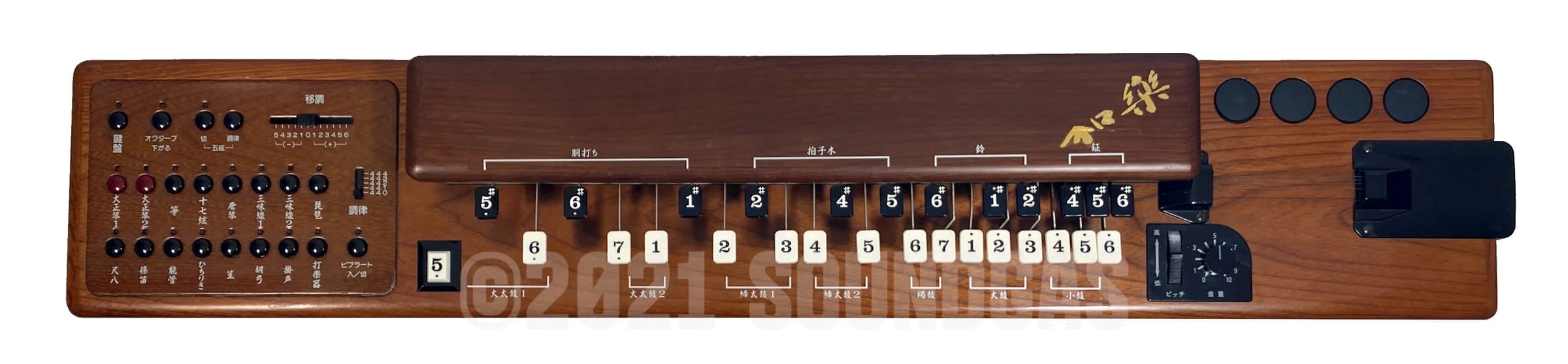 Suzuki TES-100 Waraku Koto Synth - Image 3