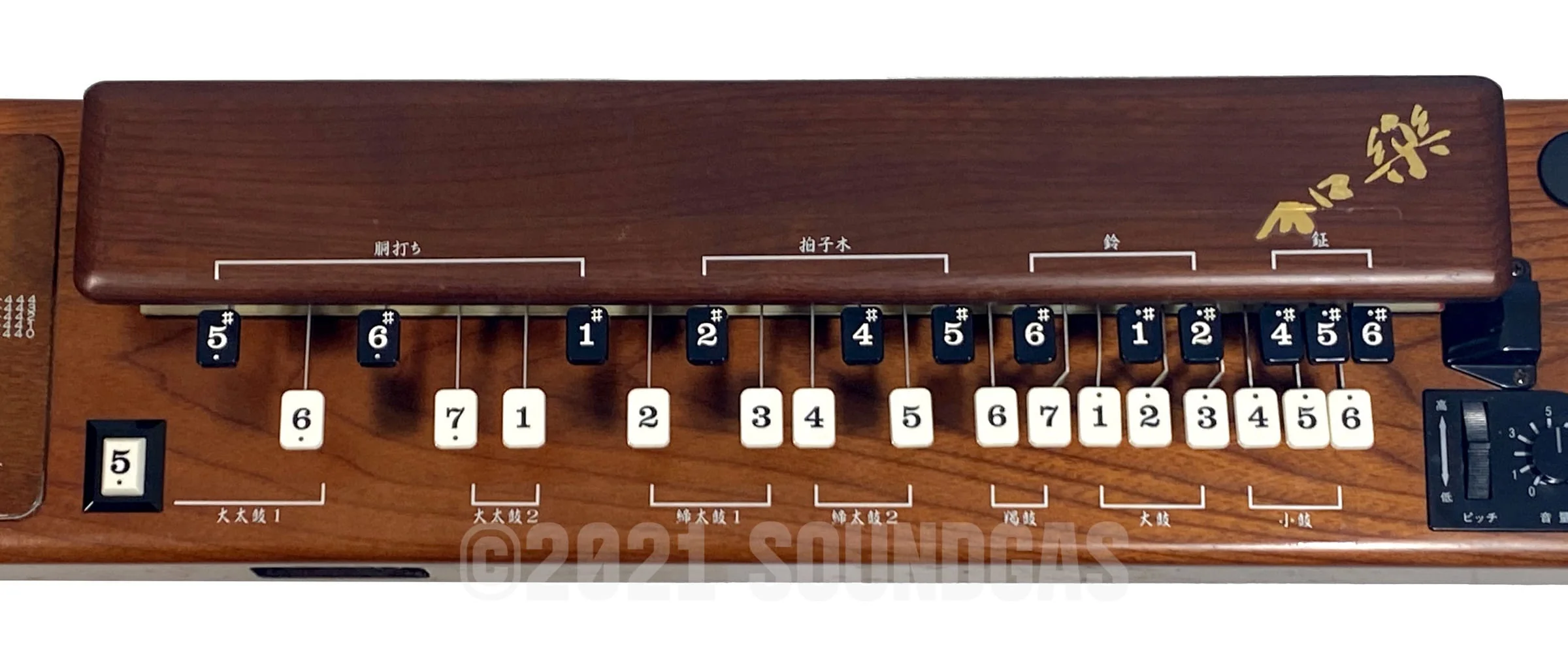 Suzuki TES-100 Waraku Koto Synth - Image 5