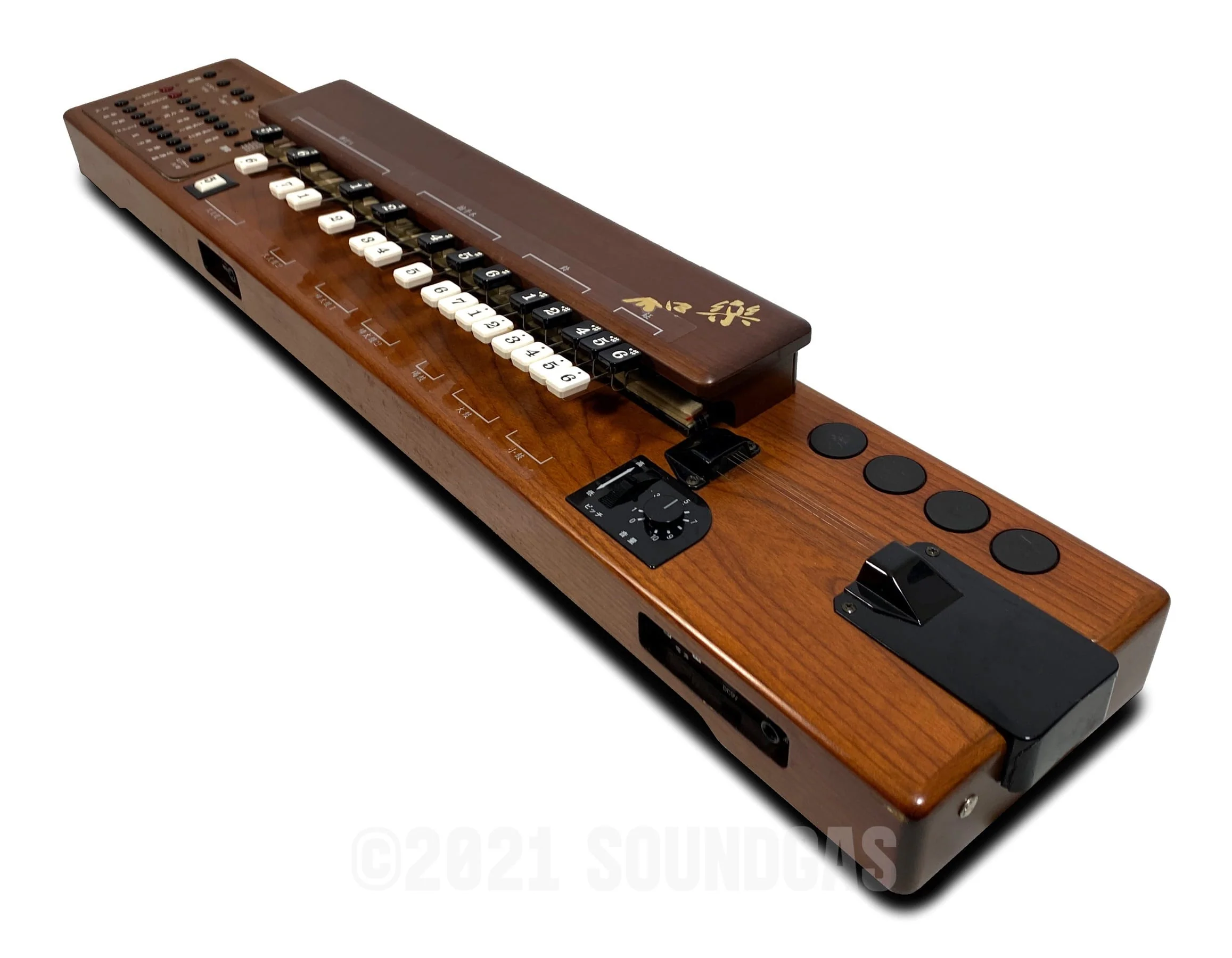 Suzuki TES-100 Waraku Koto Synth - Image 7