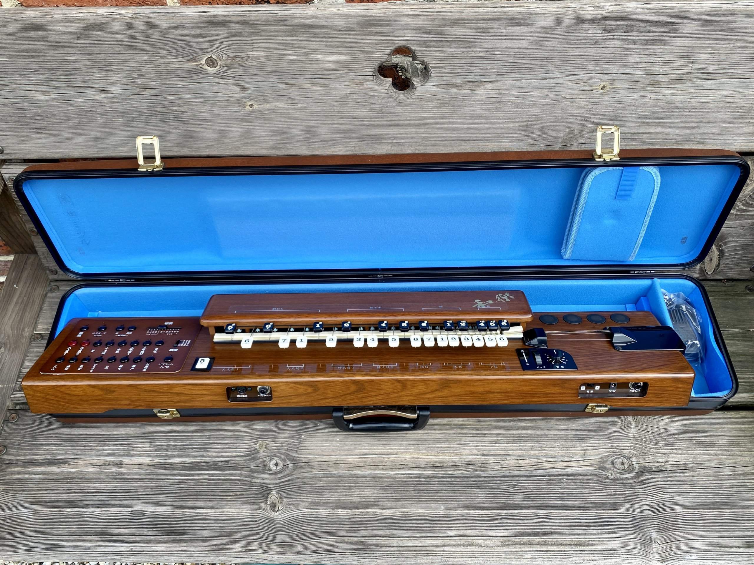 Suzuki TES-101 Waraku Koto Synth (Mint) - Image 12