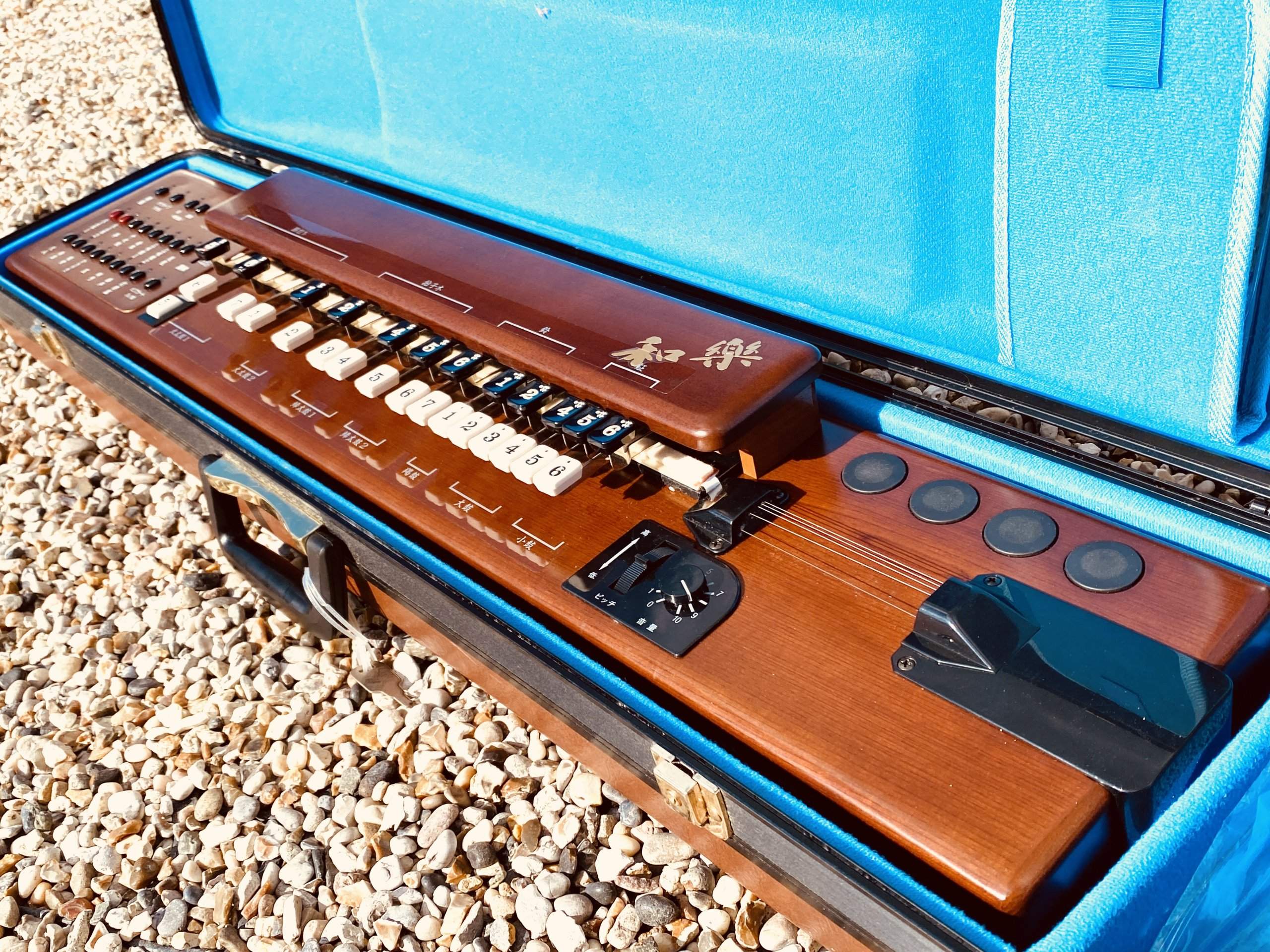 Suzuki TES-101 Waraku Koto Synth (Nr Mint) - Image 10