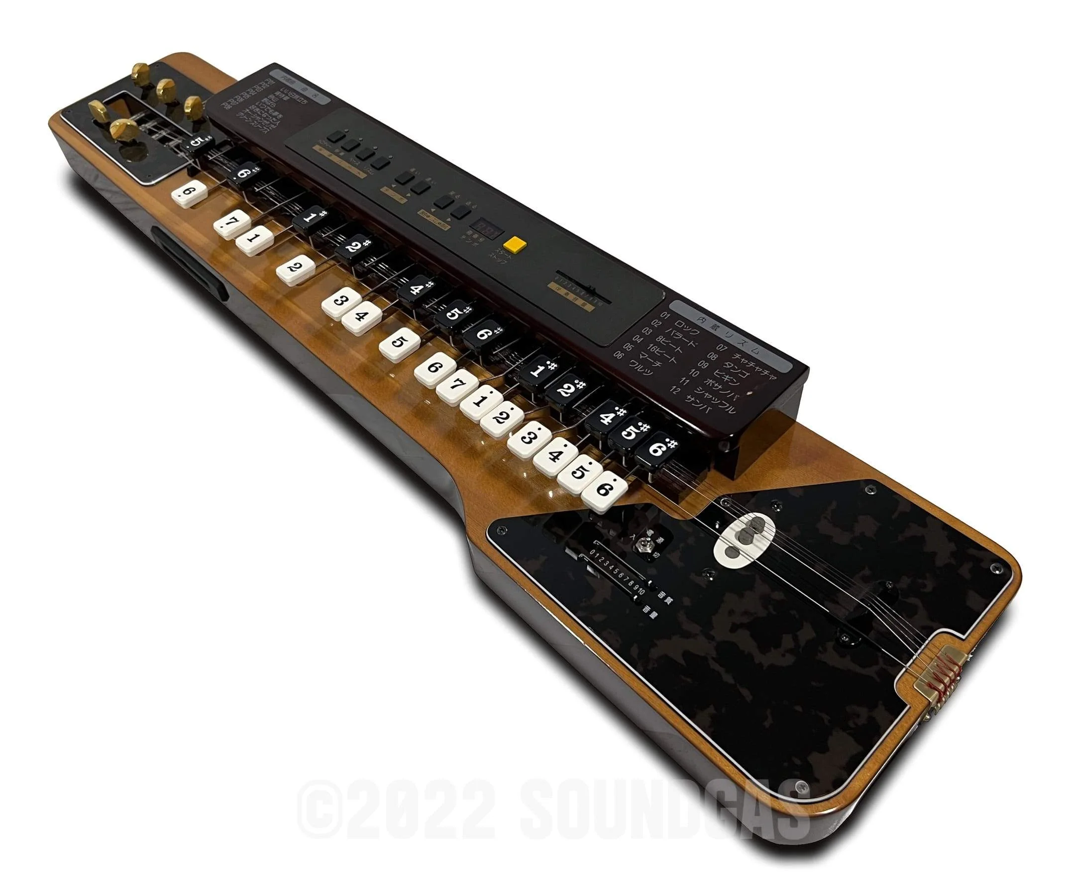 Suzuki TES-150 Electric Taishogoto & Rhythm Machine - Image 3
