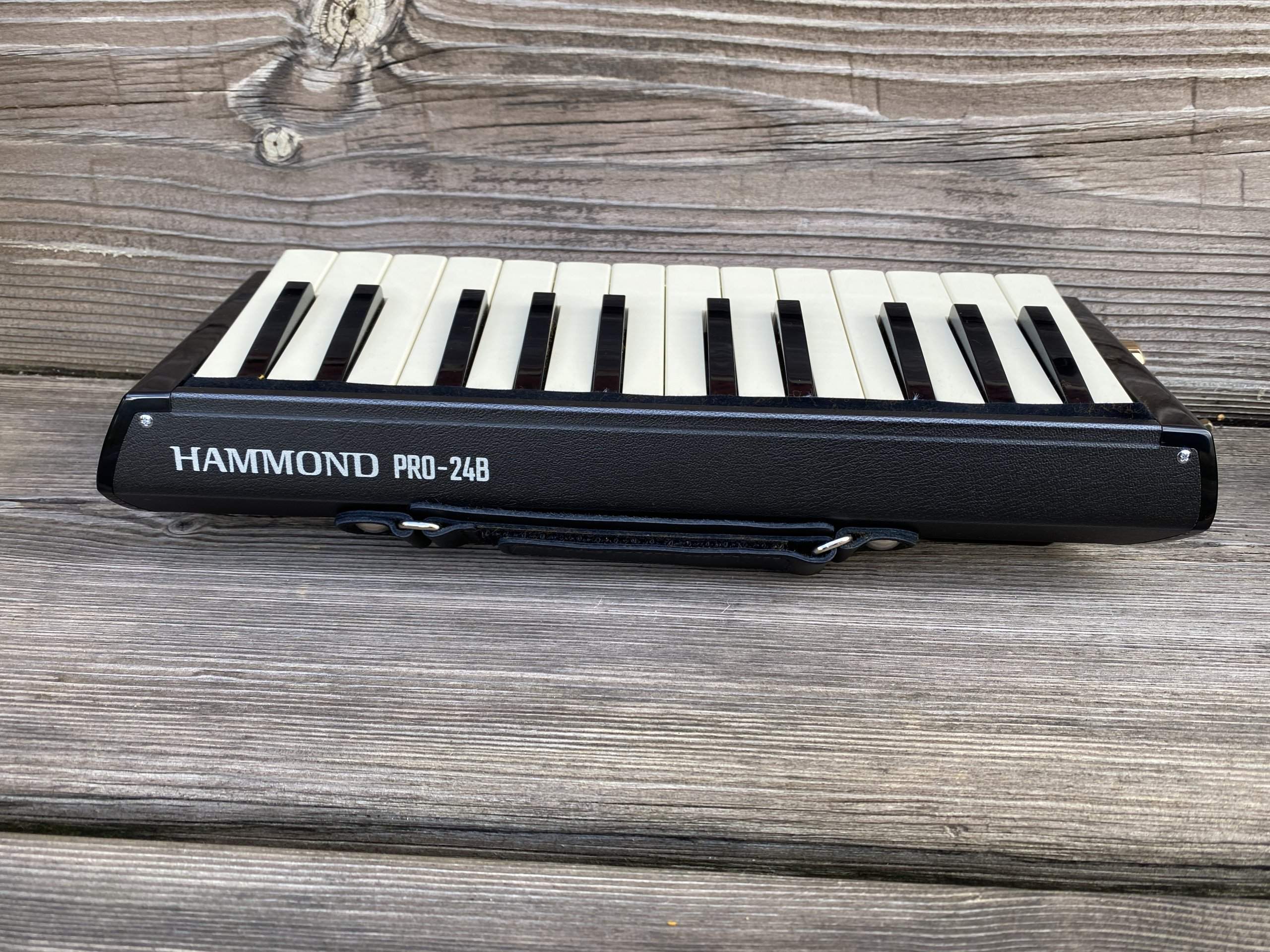 Toy Store: Hammond PRO-24B Amplified Bass Melodion/Melodica - Image 5