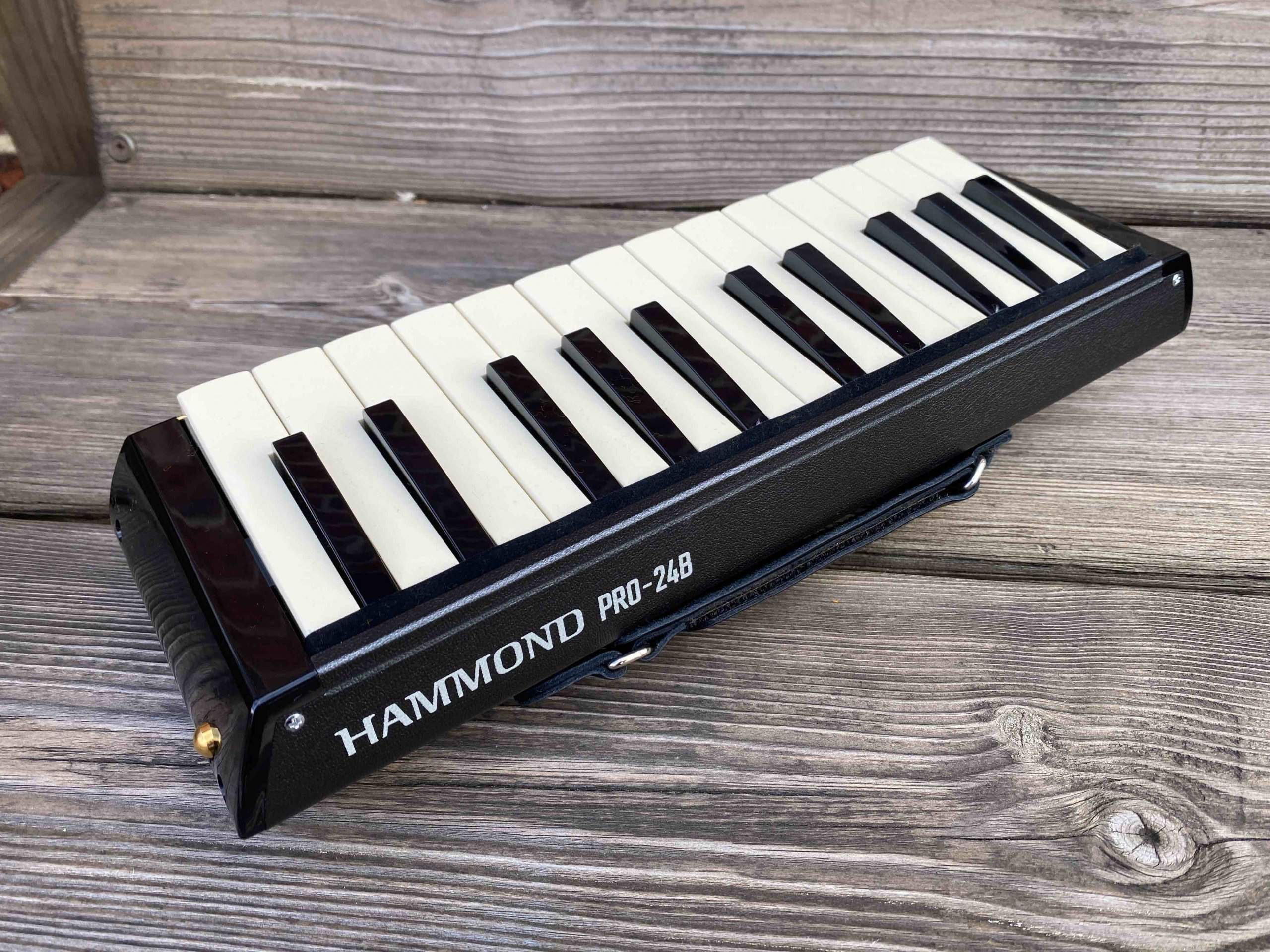 Toy Store: Hammond PRO-24B Amplified Bass Melodion/Melodica - Image 7