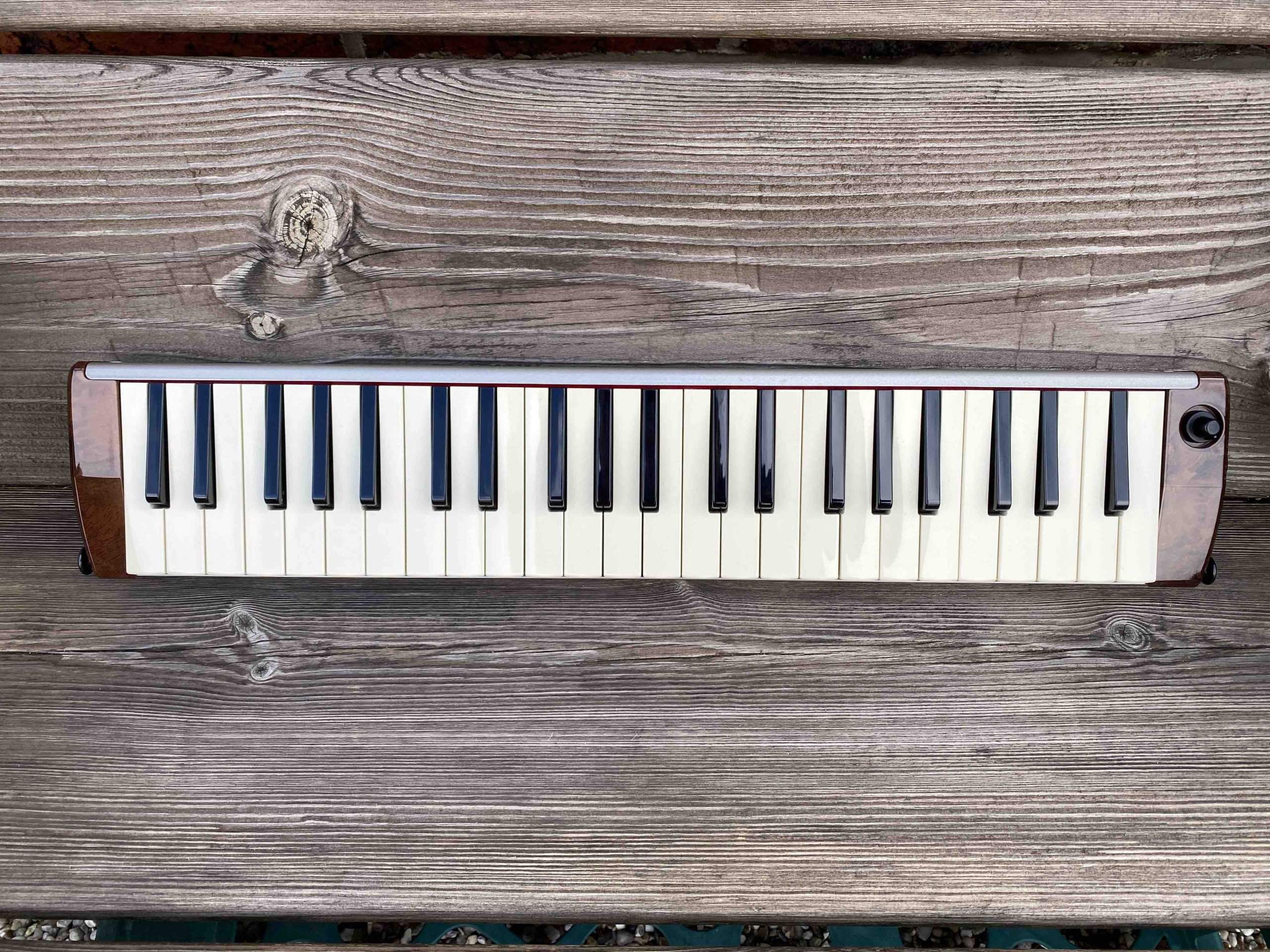 Toy Store: Hammond PRO-44H Amplified Melodica/Melodian - Image 3