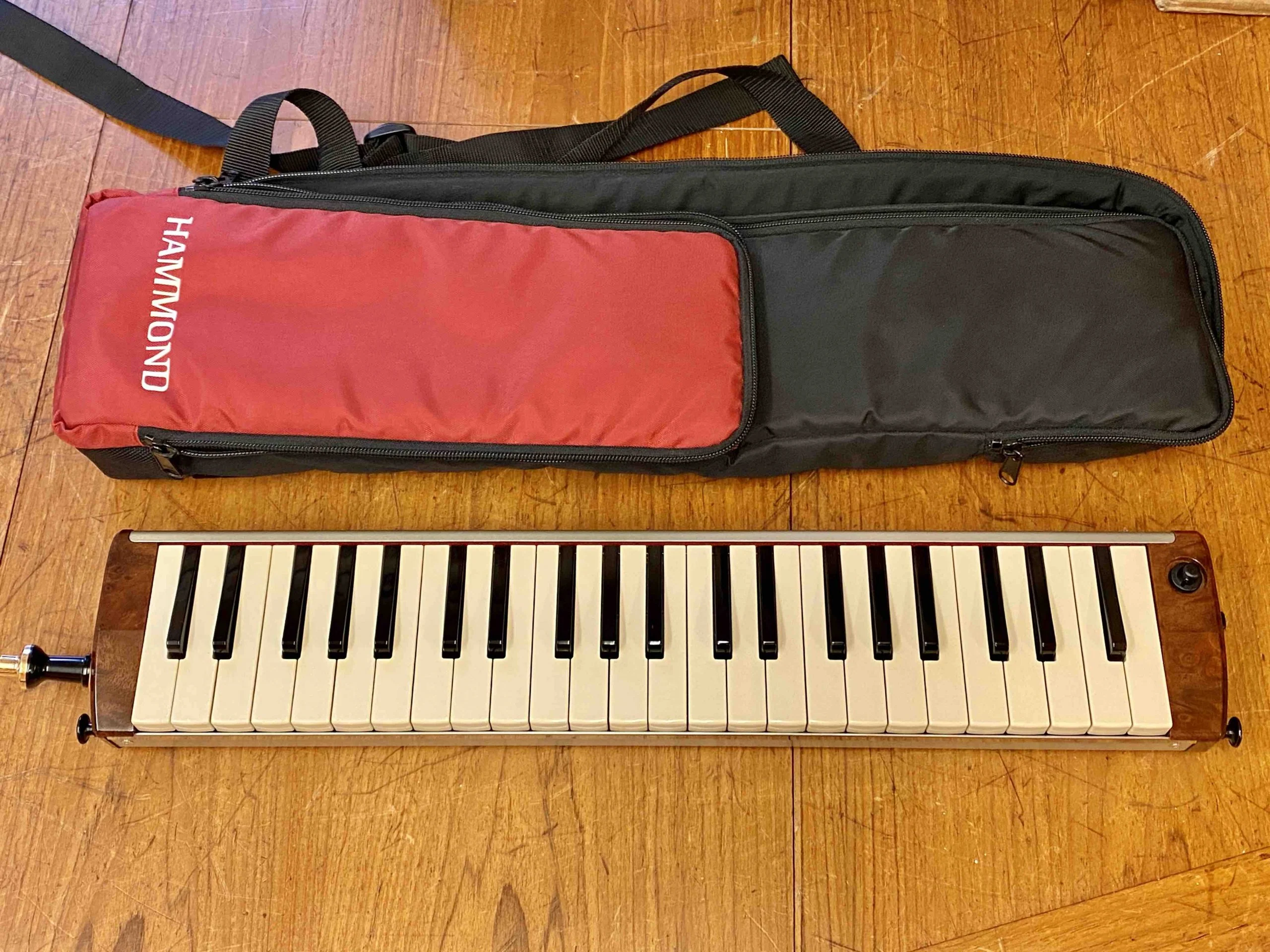Toy Store: Hammond PRO-44H V2 Melodica (Melodian) - Image 5