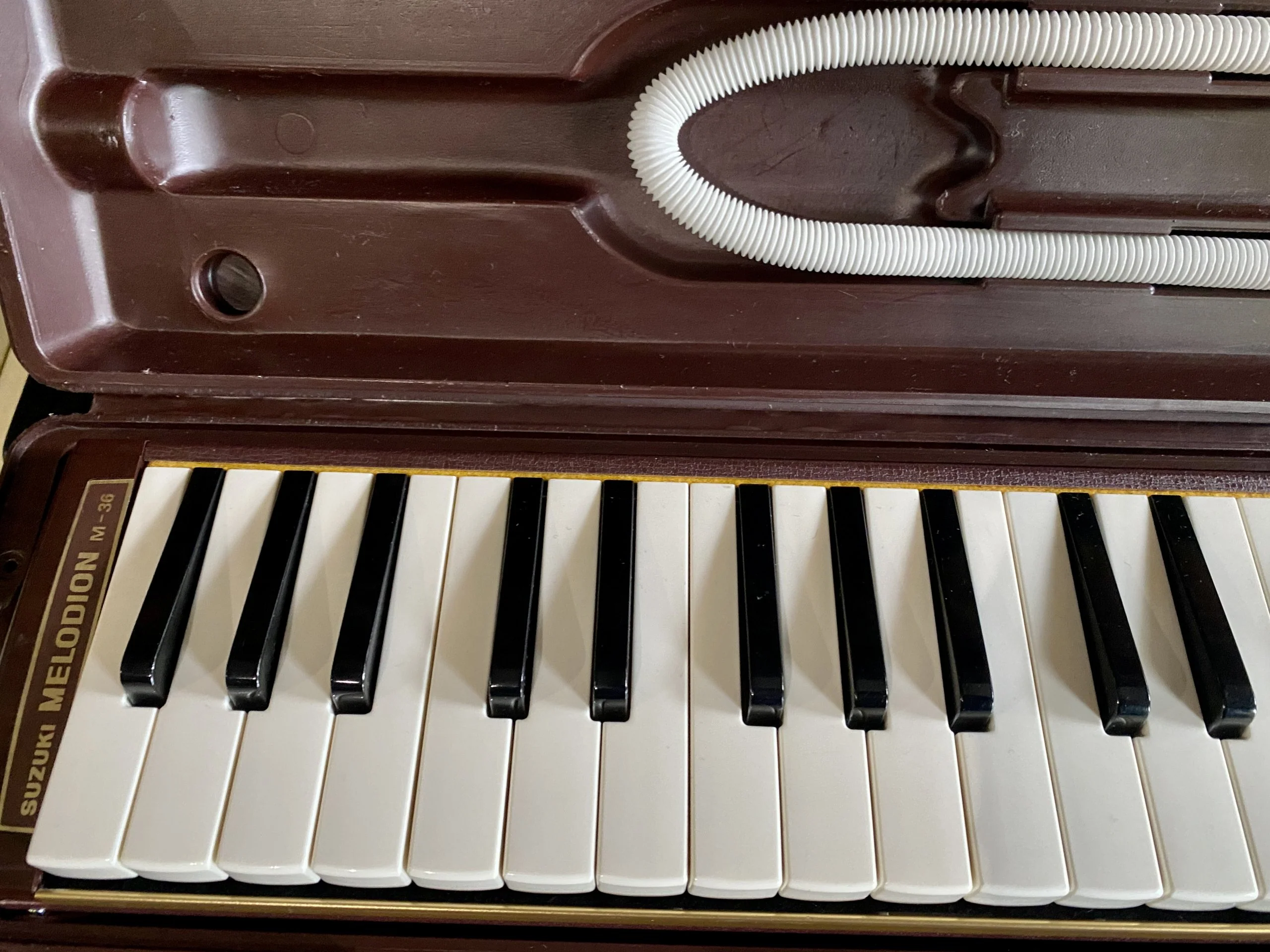 Suzuki Melodian M-36B - Image 2