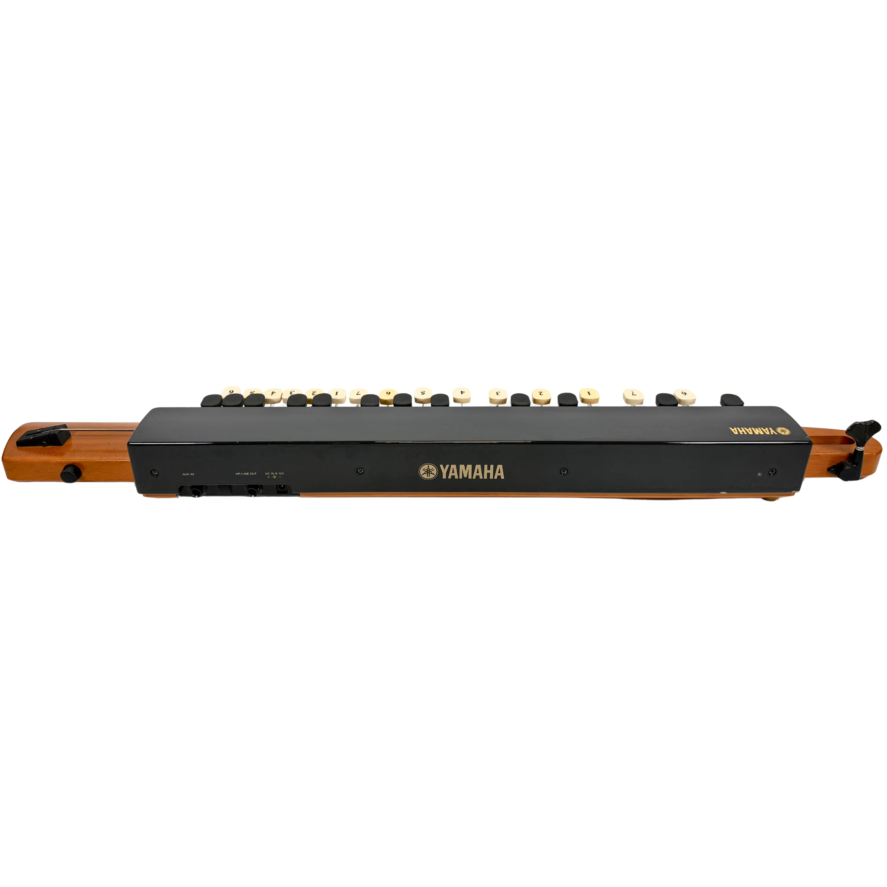 Yamaha SHB-30 Bass Violyre Taishogoto - SN 700269 - Image 5